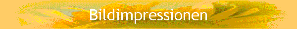 Bildimpressionen