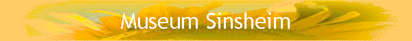 Museum Sinsheim